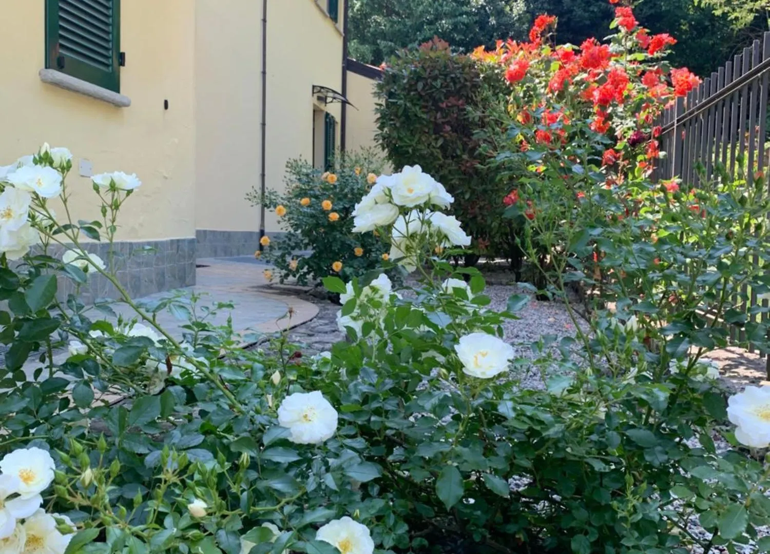 Villa Oliveto Apartments Oliveto Lario