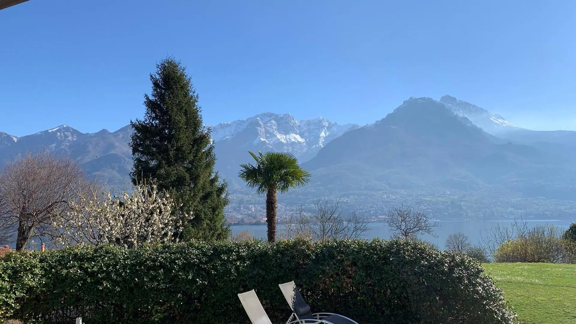 Villa Oliveto Apartments Oliveto Lario